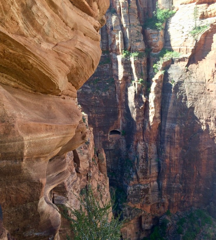 Day-014a-Tunnel-Window