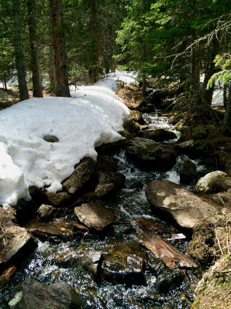 Day-028-Tanglewood-Creek