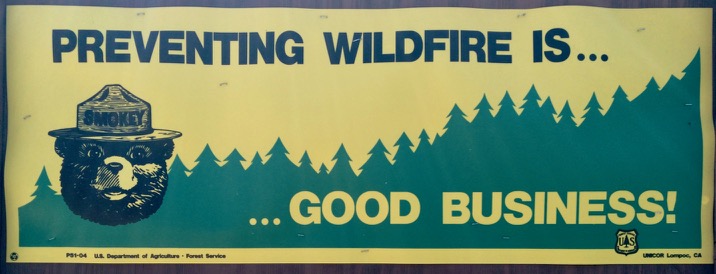 Day-029-Preventing-Wildfire-Is-Good-Business