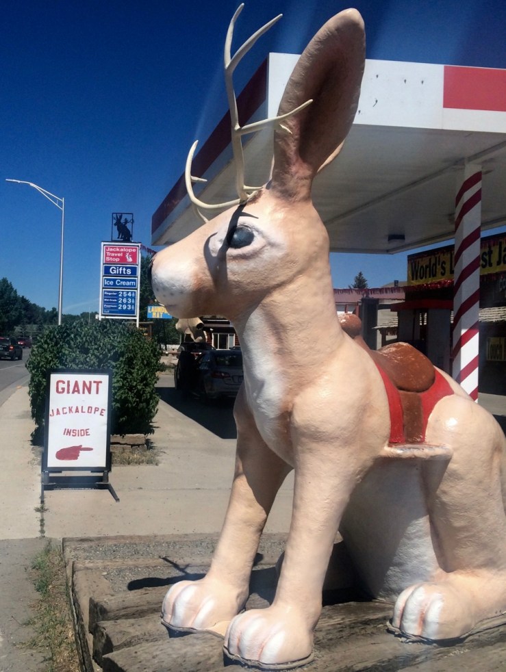 Day-047b-Giant-Jackalope-Outside