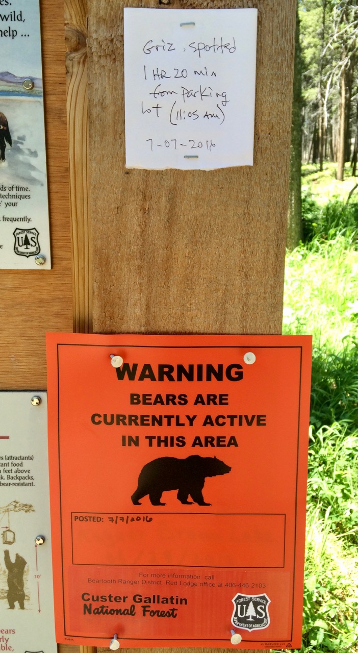 Day-064-Bears-Currently-Active-Lake-Fork-Trailhead